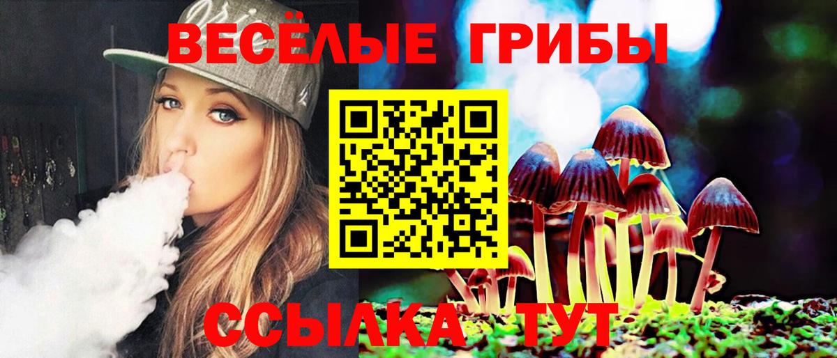 Сочи  Псилоцибиновые грибы Psilocybe  Галлюциногенные грибы мицелий  Вход с VPN 